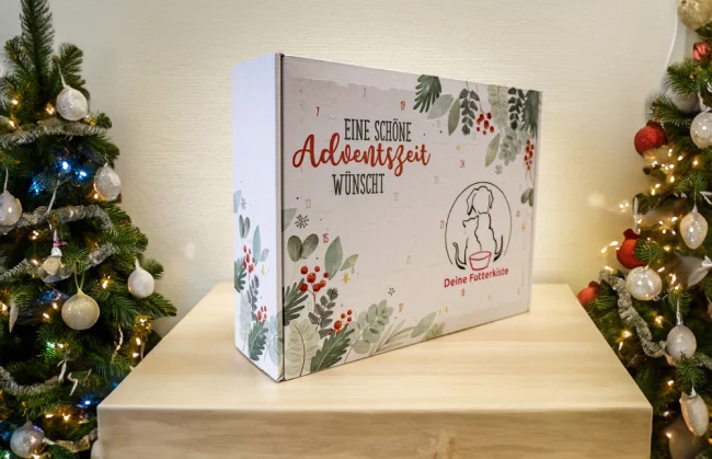 Hunde-Adventskalender in weihnachtlicher Umgebung
